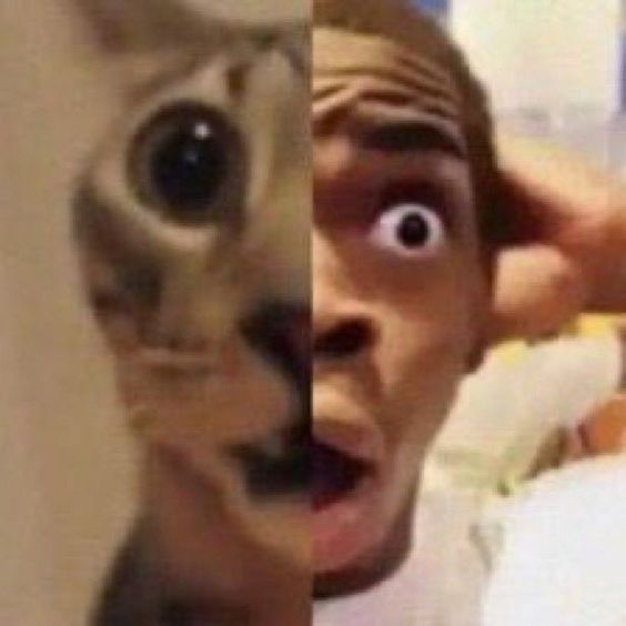 Random image